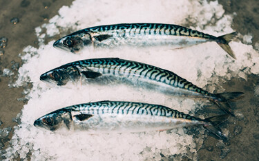 Peterhead, Scotland-based Denholm Seafoods has set its sights on supplying new markets across Europe and Asia.