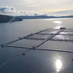 A Chilean salmon farm.