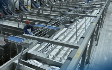 Lübeck, Germany-based seafood-processing equipment manufacturer Baader has acquired 100 percent of Skaginn 3X and has begun process of integration between the two firms.