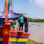 The Vung Tau multispecies trawl fishery improvement project (FIP), based in southern Vietnam, has been accepted into the MarinTrust Improver Program as part of its multispecies pilot.