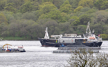 A Dawnfresh Seafoods fish farming operation.