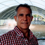 Problems recorded at recirculating aquaculture system (RAS) facilities and a sudden drop in investor interest in RAS projects are opening an opportunity for alternative land-based systems, such as the proprietary system employed by SunCoast Tilapia, according to the start-up’s CEO, Michael Mogollon.