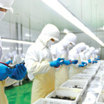 Zoneco Aquatic, once the most valuable seafood firm listed firm in China, has been ordered to sell 110 million shares held by its main shareholder.