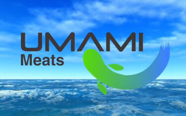 Singapore-based food tech company Umami Meats has secured USD 2.4 million (EUR 2.2 million) from its pre-seed funding round to expand its cultivated seafood offerings.