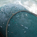 A large trawling net being pulled on board a boat.