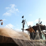 Vietnam’s exports of its key seafood products all rose in February 2022.