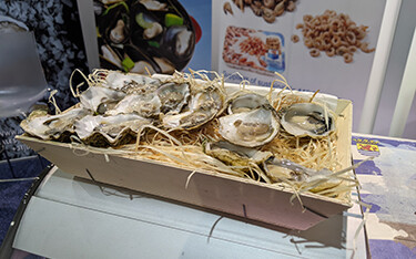 An array of oysters from the Netherlands.