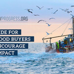 FisheryProgress.org's new promotional campaign for its guide for seafood buyers.