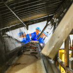 A study of China’s seafood sector suggests Chinese demand for seafood is overstated.