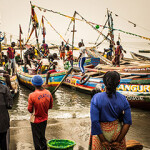 Artisinal fishing canoes line the shoreline of the West-African country of Guinea.