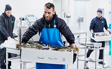 A Norcod employee holding a container filled with harvested cod.