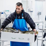 A Norcod employee holding a container filled with harvested cod.