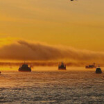 Sharply contrasting salmon run predictions in Alaska are forcing some major moves in the processing sector in advance of the 2022 season.