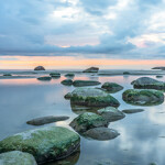 The International Council for the Exploration of the Sea (ICES) has temporarily banned Russian delegates from participating in the organization’s activities until further notice in response to the Russian invasion of Ukraine.