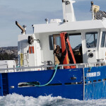 A Lerøy Seafood Group tender boat at work.