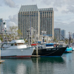 Fishing boats at the dock in San Diego, California.