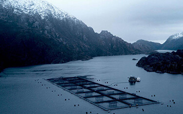 An Australis salmon farm.
