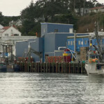 The Washington Department of Ecology has fined Pacific Seafood – Westport, LLC USD 123,000 (EUR 114,000) for water-quality violations.