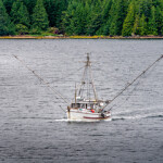 The Fisheries Council of Canada has issued a new guide to Canadian seafood geared toward Canadian consumers.