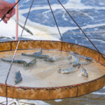 Vietnam upped its sales of shrimp to its two primary markets, the United States and China, in the first two months of 2022.