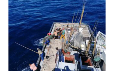 Azores tuna fisheries removal