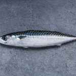 A free-trade agreement between China and Iceland has proven a boon for the latter by making its products more competitive in the Chinese market.