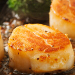 The possibility of allowing leasing in the Atlantic scallop fishery is being explored by the New England Fishery Management Council, which manages wild fisheries on the U.S. East Coast.