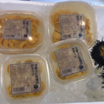 Sea Urchins farmed by Kita-Sanriku Factory Inc.