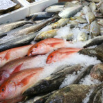 A GBP 1 million (USD 1.3 million, EUR 1.2 million) package to boost U.K. seafood exports and promote the industry’s produce overseas has been launched by the country’s government.