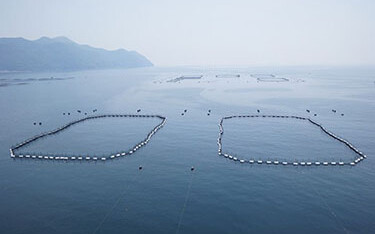 An aquaculture operation run by Maruha Nichiro