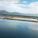 Project Sea Dragon's test ponds for its shrimp aquaculture operation.