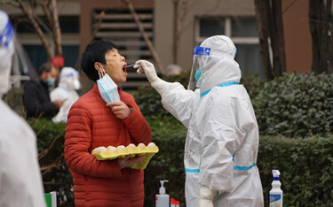 China has slapped bans on four seafood firms preventing them from shipping into China due to what Chinese Customs said is the detection of COVID infection on packaging.