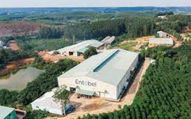 Entobel has secured USD 30 million (EUR 28.8 million) in investment in its latest funding round and has formed a new partnership with Adisseo.