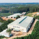 Entobel has secured USD 30 million (EUR 28.8 million) in investment in its latest funding round and has formed a new partnership with Adisseo.