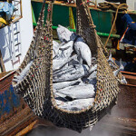 Greenpeace is continuing to criticize Taiwan’s fishing industry after nine people who worked on board the distant-water fishing vessel Da Wang were indicted on charges relating to forced labor and physical abuse.