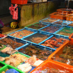 Chinese consumer seafood prices rose 2.4 percent year-on-year in April 2022, according to new consumer price index (CPI) data from the country’s National Bureau of Statistics.