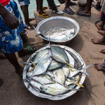 The Cotonou Fish Market in Benin, Africa.