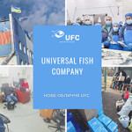 A graphic showing the Universal Fish Company getting back to work after the Russian invasion of Ukraine.