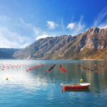 Organic aquaculture is accounting for less of the total production of seafood in the European Union than it was in 2015, the result of a range of problems ranging from its cost to its difficulty.