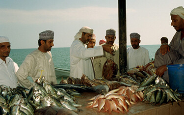 A new tuna and sardine canning complex is coming to Oman to help add value to an influx in supply.