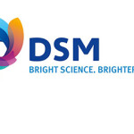 The Royal DSM Logo