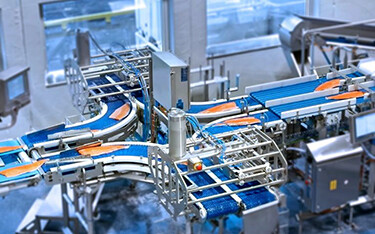 A salmon processing line operated by Hofseth International