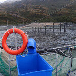 A farm at which Chile's SMA accused Australis of overproduction.
