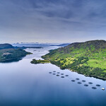 A set of salmon net pens operated by Bakkafrost Scotland