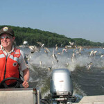 A U.S. Fish and Wildlife Service employee boats through the Illinois River as hundreds of Asian carp jump out of the water.
