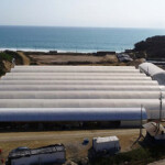 the Kona Bay broodstock farm in Indonesia