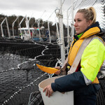 A Tassal Group Limited employee prepares to feed salmon at a net pen.