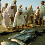 A group of fishermen in the UAE contemplate the latest catch.