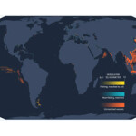 Global Fishing Watch's map of fishing activity across the globe.