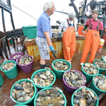 Science Center researchers with recently sorted Atlantic surfclams on board a research vessel.
